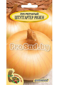 Лук репчатый Штутгартер ризен
