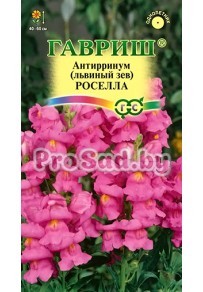 Львиный зев среднерослый Роселла