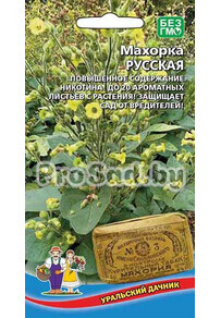 Махорка Русская