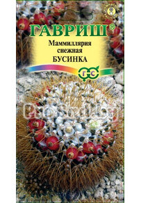 Маммиллярия снежная Бусинка