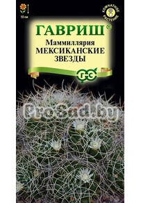 Маммиллярия Мексиканские звезды