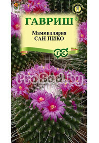 Маммиллярия Толука Сан Пико