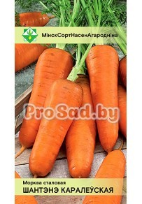 Морковь Королевское шантенэ