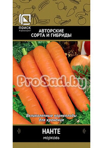 Морковь Нанте