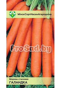 Морковь столовая Голландка