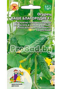 Огурец F1 Ваше благородие