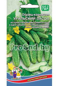 Огурец-корнишон Уральский засол