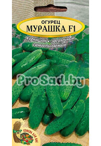 Огурец F1 Мурашка