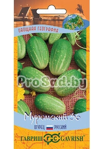 Огурец Муромский 36