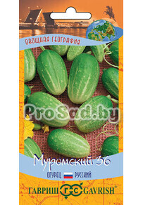 Огурец Муромский 36