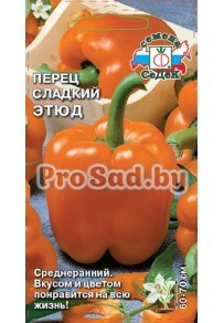 Перец сладкий Этюд