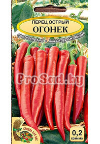 Перец острый Огонёк