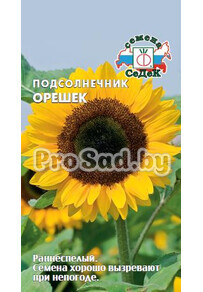 Подсолнечник Орешек