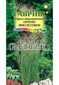 Просо декоративное Примо