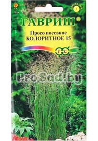 Просо посевное Колоритное 15