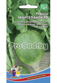 Редька Редька китайская (лоба) Маргеланская