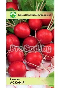Редис Аскания (Германия)
