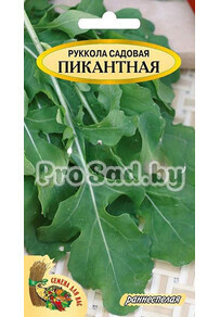 Руккола садовая Пикантная