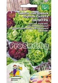 Салат Смесь листовых сортов Палитра