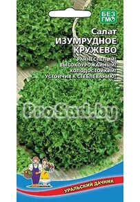 Салат Изумрудное кружево