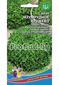 Салат Изумрудное кружево