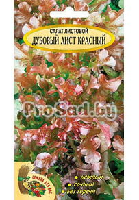 Салат листовой Дубовый лист красный