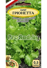 Салат листовой Грюнетта