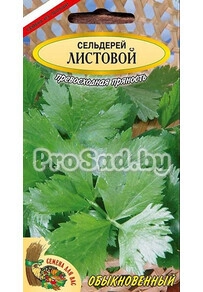 Сельдерей Листовой