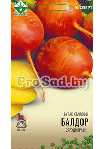 Свекла столовая Болдор