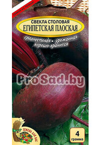 Свекла столовая Египетская плоская