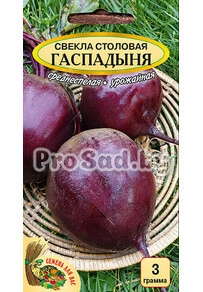 Свекла столовая Гаспадыня