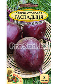 Свекла столовая Гаспадыня
