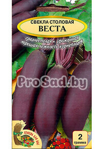 Свекла столовая Веста