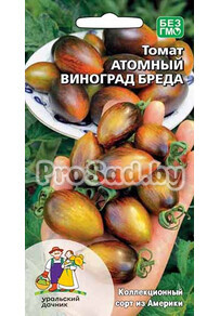 Томат Атомный виноград Бреда