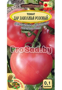 Томат Дар Заволжья розовый