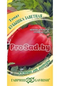 Томат Кубышка заветная