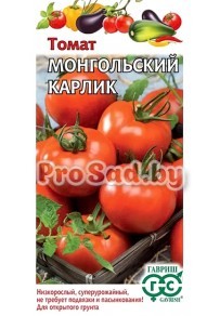 Томат Монгольский карлик