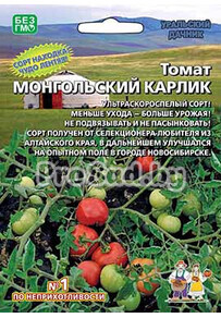 Томат Монгольский карлик