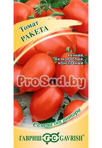 Томат Ракета