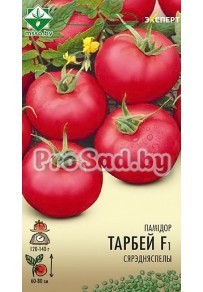 Томат F1 Торбей (Голландия)