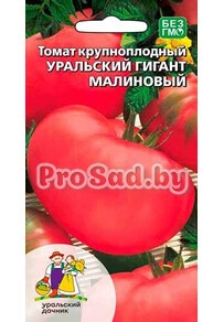 Томат Уральский гигант малиновый
