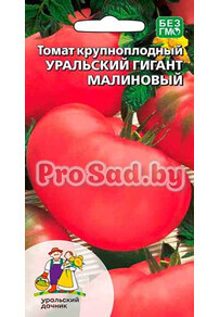 Томат Уральский гигант малиновый