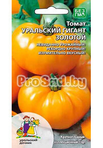 Томат Уральский гигант золотой