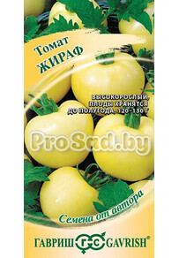 Томат Жираф