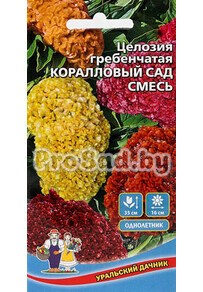 Целозия гребенчатая Коралловый сад