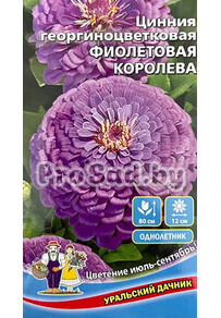 Цинния георгиноцветковая Фиолетовая королева