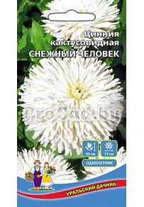 Цинния кактусовидная Снежный человек
