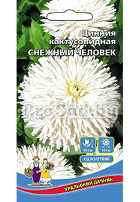 Цинния кактусовидная Снежный человек