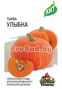 Тыква Улыбка