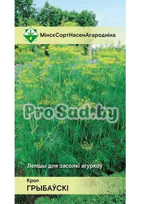 Укроп Грибовский